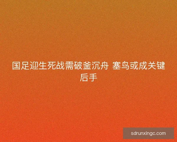 国足迎生死战需破釜沉舟 塞鸟或成关键后手