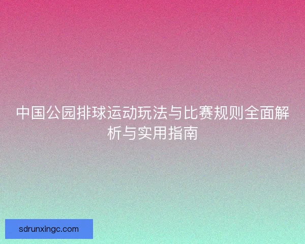 中国公园排球运动玩法与比赛规则全面解析与实用指南